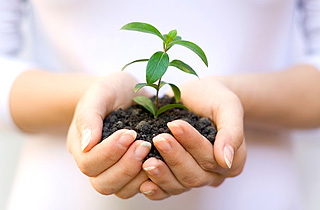 personal_growth