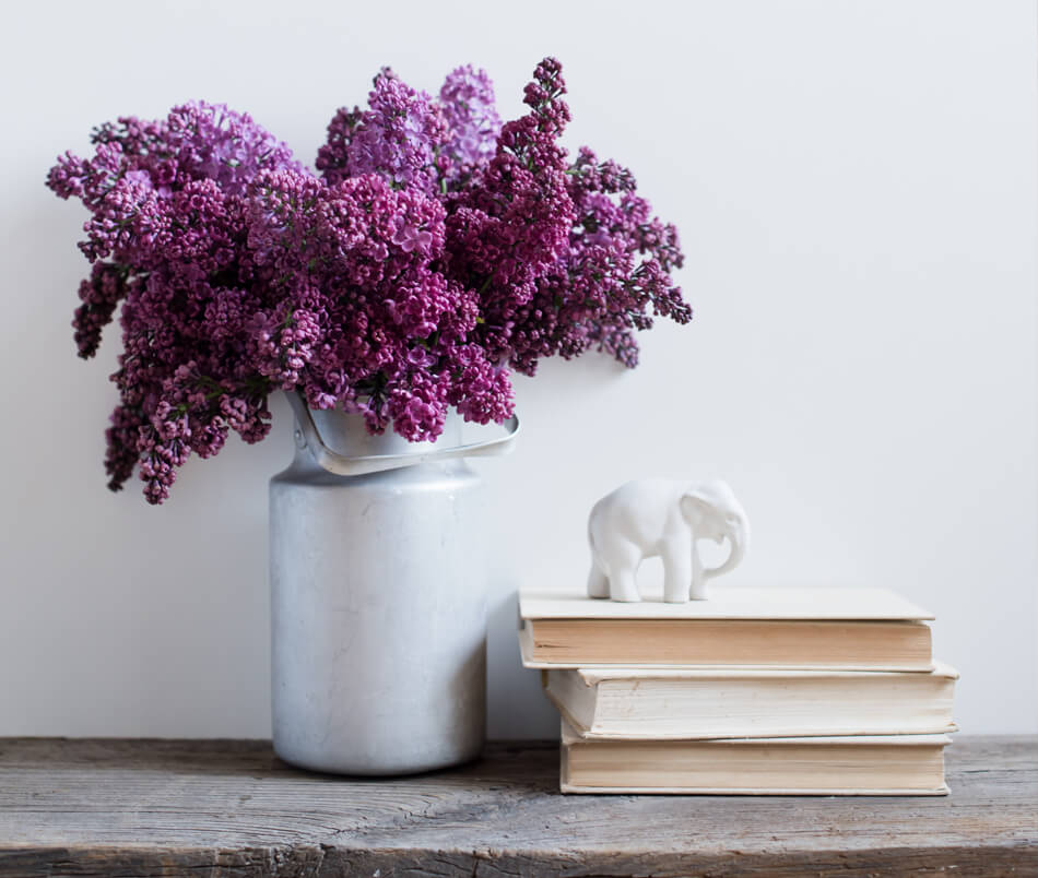 lilacs and books