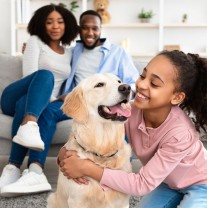 animal-assisted therapy