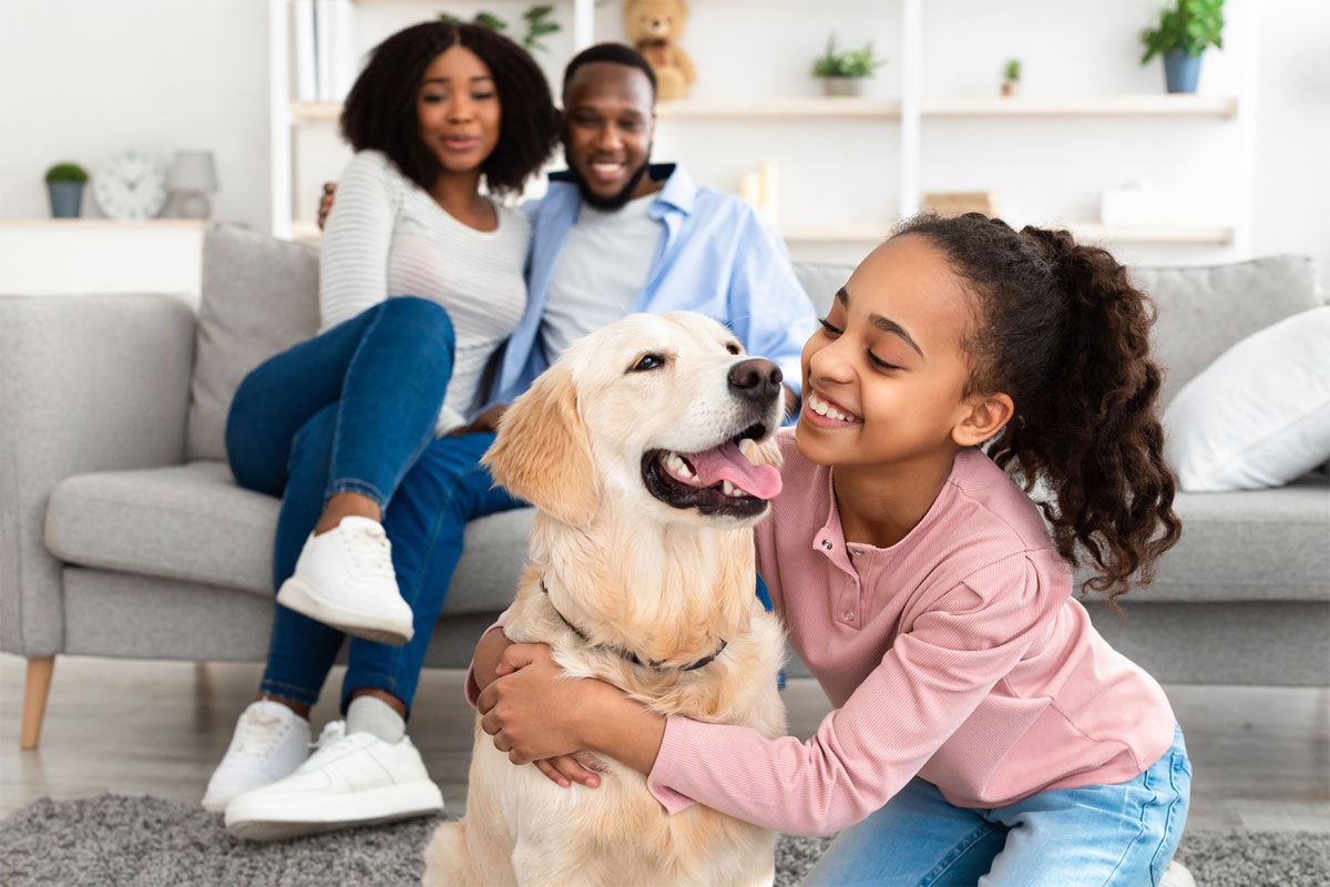 animal-assisted therapy